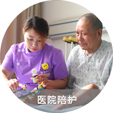 园区鸟瞰图  